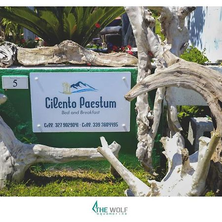 B&B Cilento Paestum Luaran gambar