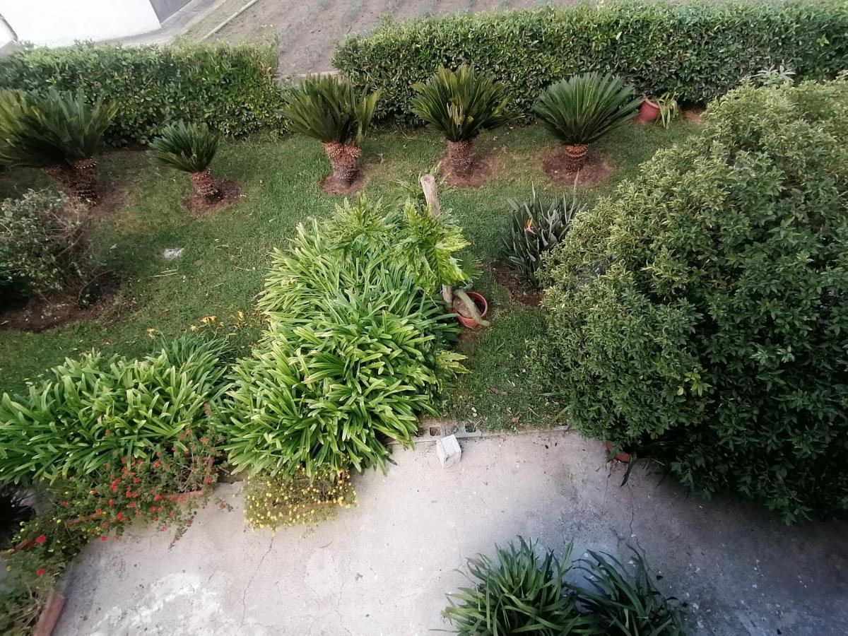 B&B Cilento Paestum Luaran gambar