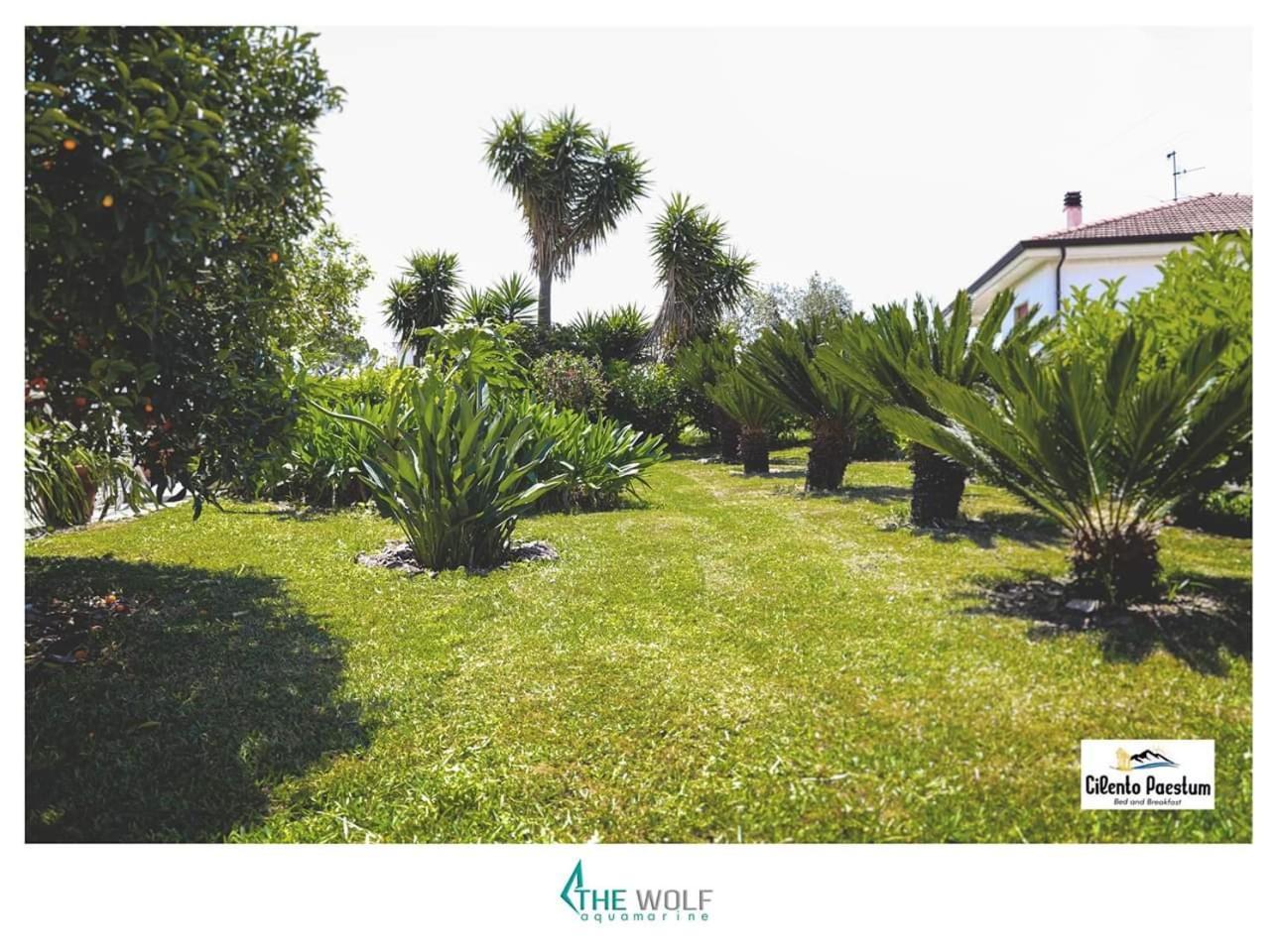 B&B Cilento Paestum Luaran gambar