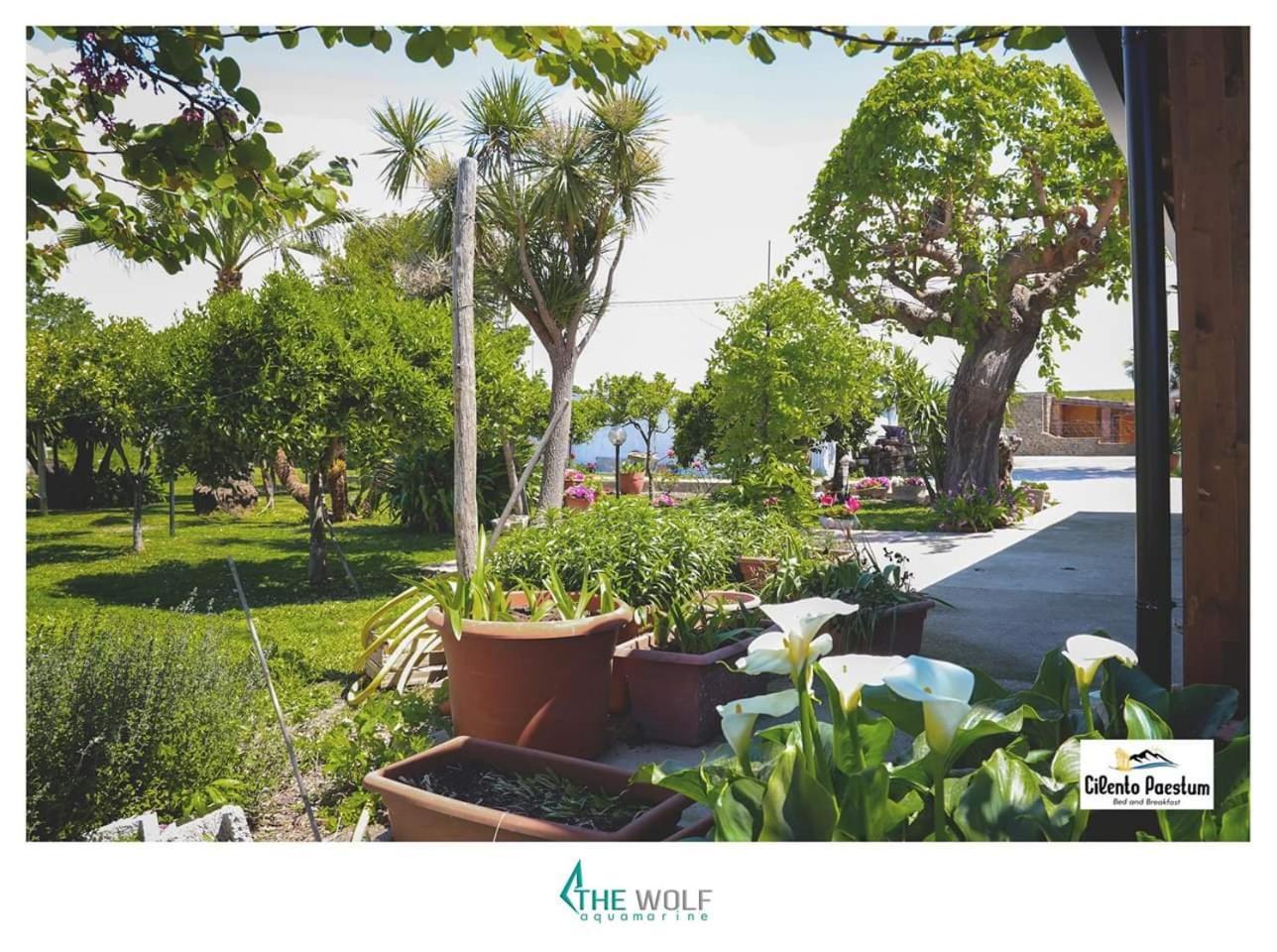 B&B Cilento Paestum Luaran gambar