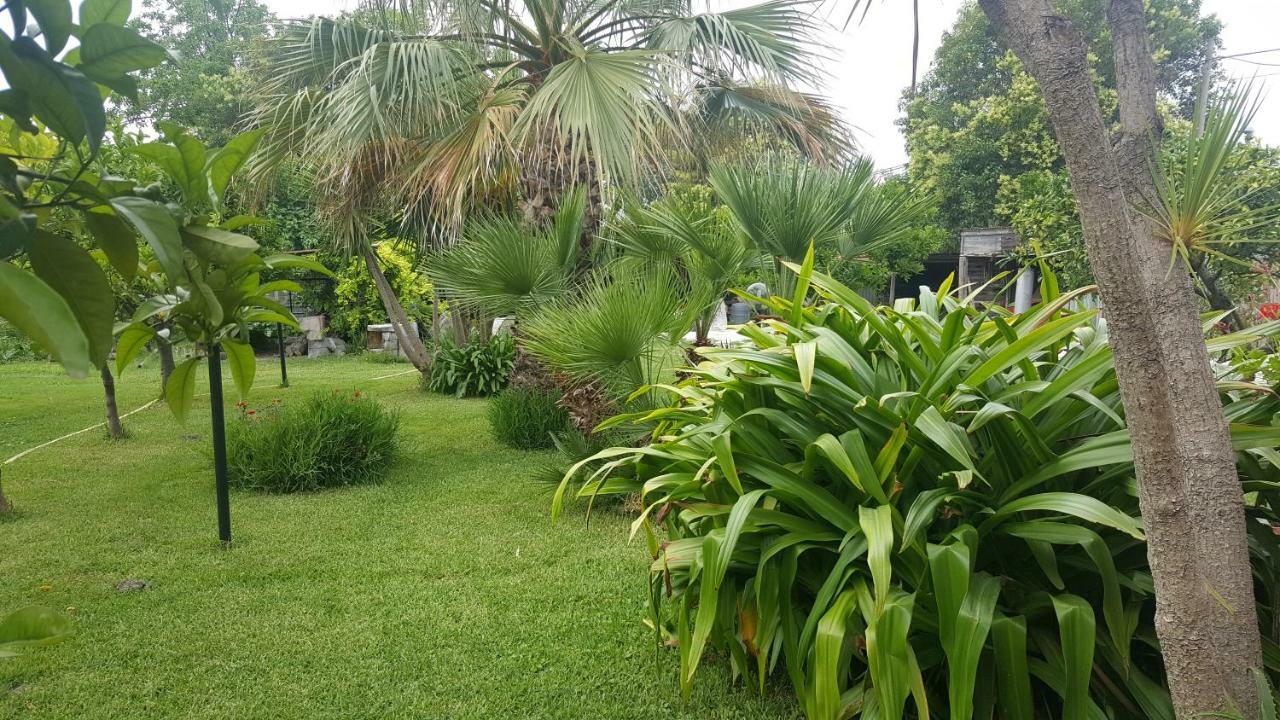 B&B Cilento Paestum Luaran gambar